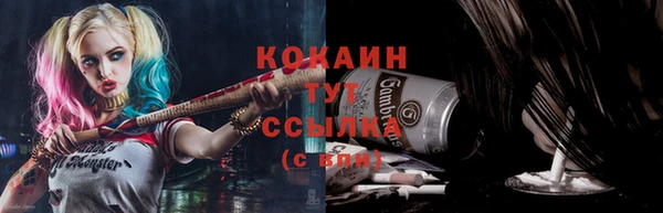 дживик Армянск