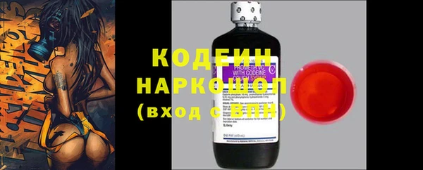 прущие грибы Алексин