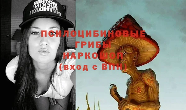 мдпв Арсеньев