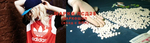 тгк Аркадак