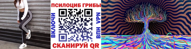 Галлюциногенные грибы Magic Shrooms наркота Фатеж